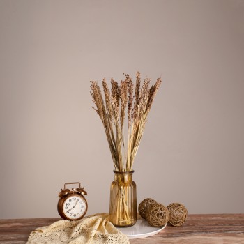 GloboStar® BROOMCORN 36540 Αποξηραμένο Φυτό Γλυκό Σόργο - Μπουκέτο Διακοσμητικών Κλαδιών Μπεζ - Καφέ Υ60cm - Σετ 20 τμχ