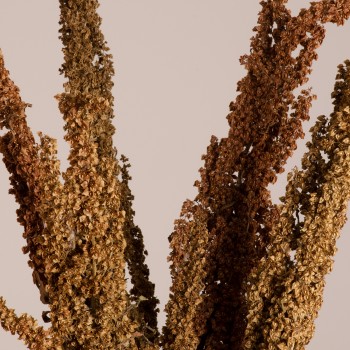 GloboStar® CURLYDOCK 36541 Αποξηραμένο Φυτό Αγριολάπαθο - Μπουκέτο Διακοσμητικών Κλαδιών Μπεζ - Καφέ Υ60cm - Σετ 8 τμχ