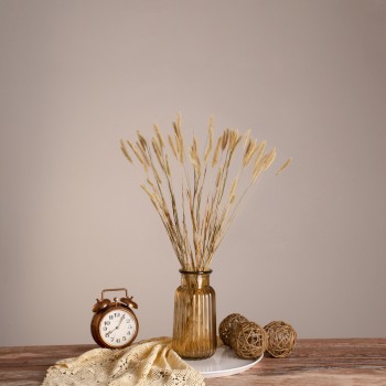 GloboStar® FOUNTAINGRASS 36542 Αποξηραμένο Φυτό Πεννίζετο - Μπουκέτο Διακοσμητικών Κλαδιών Μπεζ - Πράσινο Υ60cm - Σετ 50 τμχ