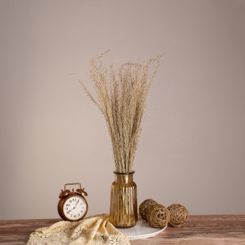 GloboStar® SILVERHAIRGRASS 36545 Αποξηραμένο Φυτό Ασημένια Χλόη - Μπουκέτο Διακοσμητικών Κλαδιών Μπεζ Υ60cm - Σετ 100 τμχ