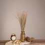 GloboStar® SILVERHAIRGRASS 36545 Αποξηραμένο Φυτό Ασημένια Χλόη - Μπουκέτο Διακοσμητικών Κλαδιών Μπεζ Υ60cm - Σετ 100 τμχ