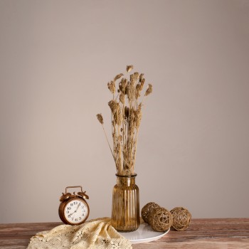 GloboStar® WILDCARROT 36546 Αποξηραμένο Φυτό Άγριο Καρότο - Μπουκέτο Διακοσμητικών Κλαδιών Μπεζ Υ60cm - Σετ 10 τμχ