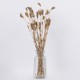 GloboStar® WILDCARROT 36546 Αποξηραμένο Φυτό Άγριο Καρότο - Μπουκέτο Διακοσμητικών Κλαδιών Μπεζ Υ60cm GloboStar® WILDCARROT 36546 Αποξηραμένο Φυτό Άγριο Καρότο - Μπουκέτο Διακοσμητικών Κλαδιών Μπεζ Υ60cm