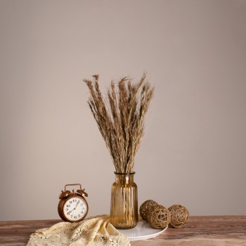 GloboStar® COLATAI 36549 Αποξηραμένο Φυτό Εράγρωστις - Μπουκέτο Διακοσμητικών Κλαδιών Μπεζ - Καφέ Υ60cm - Σετ 50 τμχ