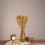 GloboStar® WHEAT 36550 Αποξηραμένο Φυτό Σίτος - Μπουκέτο Διακοσμητικών Κλαδιών Μπεζ Υ60cm - Σετ 100 τμχ