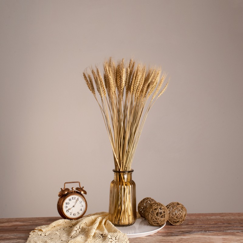 GLOBOSTAR® BARLEY 36551 Αποξηραμένο Διακοσμητικό Μπουκέτο Κριθάρι - Μπεζ - Μ20 x Π20 x Υ60cm - Πακέτο 100 Τεμαχίων