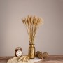 GLOBOSTAR® BARLEY 36551 Αποξηραμένο Διακοσμητικό Μπουκέτο Κριθάρι - Μπεζ - Μ20 x Π20 x Υ60cm - Πακέτο 100 Τεμαχίων