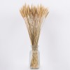 GLOBOSTAR® BARLEY 36551 Αποξηραμένο Διακοσμητικό Μπουκέτο Κριθάρι - Μπεζ - Μ20 x Π20 x Υ60cm - Πακέτο 100 Τεμαχίων