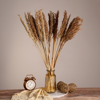 GloboStar® BROOMCORN 36554 Αποξηραμένο Φυτό Γλυκό Σόργο - Μπουκέτο Διακοσμητικών Κλαδιών Καφέ Υ80cm - Σετ 20 τμχ