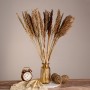 GloboStar® BROOMCORN 36554 Αποξηραμένο Φυτό Γλυκό Σόργο - Μπουκέτο Διακοσμητικών Κλαδιών Καφέ Υ80cm - Σετ 20 τμχ