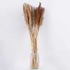 GloboStar® BROOMCORN 36554 Αποξηραμένο Φυτό Γλυκό Σόργο - Μπουκέτο Διακοσμητικών Κλαδιών Καφέ Υ80cm