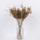 GloboStar® FERNGRASS 36556 Αποξηραμένο Φυτό Φτερόχορτο - Μπουκέτο Διακοσμητικών Κλαδιών Μπεζ Υ60cm