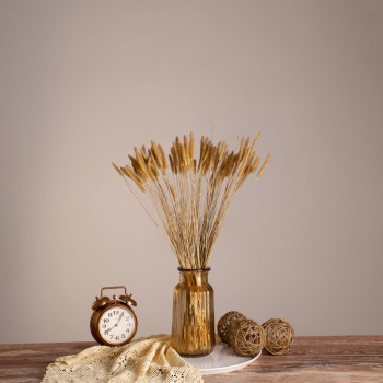 GloboStar® SETARIA 36557 Αποξηραμένο Φυτό Σεταρία - Μπουκέτο Διακοσμητικών Κλαδιών Μπεζ Υ60cm - Σετ 100 τμχ