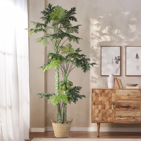 GloboStar® Artificial Garden ZAKYNTHOS 20336 ΣΕΤ 3 Διακοσμητικά Πλεκτά Καλάθια - Κασπώ Γλάστρες - Flower Pots Μπεζ με Μακραμέ A:Φ24cm x Υ20cm B:Φ28cm x Υ24cm C:Φ32cm x Υ28cm GloboStar® Artificial Garden ZAKYNTHOS 20336 ΣΕΤ 3 Διακοσμητικά Πλεκτά Καλάθια - Κασπώ Γλάστρες - Flower Pots Μπεζ με Μακραμέ A:Φ24cm x Υ20cm B:Φ28cm x Υ24cm C:Φ32cm x Υ28cm