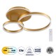 GloboStar® VENOM 61122 Φωτιστικό Οροφής Δαχτυλίδι-Κύκλος LED CCT 67W 8107lm 360° AC 220-240V - Εναλλαγή Φωτισμού μέσω Τηλεχειριστηρίου All In One Ψυχρό 6000k+Φυσικό 4500k+Θερμό 2700k Dimmable Φ25+40cm+BackLight - Χρυσό Βούρτσας - 3 Years Warranty GloboStar® VENOM 61122 Φωτιστικό Οροφής Δαχτυλίδι-Κύκλος LED CCT 67W 8107lm 360° AC 220-240V - Εναλλαγή Φωτισμού μέσω Τηλεχειριστηρίου All In One Ψυχρό 6000k+Φυσικό 4500k+Θερμό 2700k Dimmable Φ25+40cm+BackLight - Χρυσό Βούρτσας - 3 Years Warranty