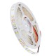 GloboStar® LILAC 70141 Ταινία LED 6W/m 690lm/m 120° DC 12V IP20 - 60 x SMD 2835 LED Chip/Μέτρο - Μ5000 x Π8 x Υ1mm - Ρολό 5 Μέτρων - Φυσικό Λευκό 4500K - 5 Χρόνια Εγγύηση GloboStar® LILAC 70141 Ταινία LED 6W/m 690lm/m 120° DC 12V IP20 - 60 x SMD 2835 LED Chip/Μέτρο - Μ5000 x Π8 x Υ1mm - Ρολό 5 Μέτρων - Φυσικό Λευκό 4500K - 5 Χρόνια Εγγύηση