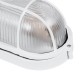 GLOBOSTAR® BOATLIGHT 61582 Φωτιστικό Καραβοχελώνα Τοίχου - Απλίκα με Ντουί 1 x E27 120° AC 220-240V Αδιάβροχο IP65 -  Λευκό Ματ - Μ21 x Π10.4 x Υ9cm