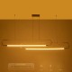 kelvo® GLOW 61665 Μοντέρνο Κρεμαστό Φωτιστικό Οροφής LED 28W 2800lm 360° AC 220-240V IP20 Ρυθμιζόμενο Λευκό CCT με Χειριστήριο από 2700K έως 6000K Dimmable - Lumileds SMD Chip - Χρυσό Πλατίνα & Λευκό Νήμα - Μ160 x Π3 x Υ25cm - 3 Χρόνια Εγγύηση kelvo® GLOW 61665 Μοντέρνο Κρεμαστό Φωτιστικό Οροφής LED 28W 2800lm 360° AC 220-240V IP20 Ρυθμιζόμενο Λευκό CCT με Χειριστήριο από 2700K έως 6000K Dimmable - Lumileds SMD Chip - Χρυσό Πλατίνα & Λευκό Νήμα - Μ160 x Π3 x Υ25cm - 3 Χρόνια Εγγύηση