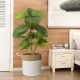 GloboStar® Artificial Garden SAMOTHRAKI 20199 Διακοσμητικό Πλεκτό Καλάθι - Κασπώ Γλάστρα - Flower Pot  Μπεζ με Λευκό Π35cm x Υ40cm