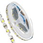 GLOBOSTAR® ZIGZAG 70040 Ταινία LED 6W/m 660lm/m 120° DC 12V IP20 60 x SMD2835 Chip/m Ψυχρό Λευκό 6000K Dimmable - Sanan SMD Chip - Μ500 x Π0.6 x Υ0.1cm - Ρολό 5 Μέτρων - 5 Χρόνια Εγγύηση