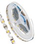 GLOBOSTAR® ZIGZAG 70042 Ταινία LED 6W/m 540lm/m 120° DC 12V IP20 60 x SMD2835 Chip/m Θερμό Λευκό 2700K Dimmable - Sanan SMD Chip - Μ500 x Π0.6 x Υ0.1cm - Ρολό 5 Μέτρων - 5 Χρόνια Εγγύηση