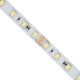 GloboStar® 70263 Ταινία LED SMD 5050 RGBW + WW 5in1 5m 24W/m 60LED/m 120° DC 24V IP20 2400lm/m Πολύχρωμη RGB - Ψυχρό Λευκό 6000K - Φυσικό Λευκό 4500K - Θερμό Λευκό 2700K - 5 Χρόνια Εγγύηση GloboStar® 70263 Ταινία LED SMD 5050 RGBW + WW 5in1 5m 24W/m 60LED/m 120° DC 24V IP20 2400lm/m Πολύχρωμη RGB - Ψυχρό Λευκό 6000K - Φυσικό Λευκό 4500K - Θερμό Λευκό 2700K - 5 Χρόνια Εγγύηση