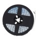 GloboStar® 70264 Ταινία LED SMD 5050 RGBW + WW 5in1 5m 36W/m 72LED/m 120° DC 24V IP20 3600lm/m Πολύχρωμη RGB - Ψυχρό Λευκό 6000K - Φυσικό Λευκό 4500K - Θερμό Λευκό 2700K - 5 Χρόνια Εγγύηση GloboStar® 70264 Ταινία LED SMD 5050 RGBW + WW 5in1 5m 36W/m 72LED/m 120° DC 24V IP20 3600lm/m Πολύχρωμη RGB - Ψυχρό Λευκό 6000K - Φυσικό Λευκό 4500K - Θερμό Λευκό 2700K - 5 Χρόνια Εγγύηση