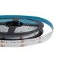 GLOBOSTAR® BEE 70354 Ταινία LED 19.2W/m 1728lm/m 120° DC 24V IP20 784 x COB Chip/m Πολύχρωμο RGB+WW Dimmable - Sanan COB Chip - Μ500 x Π1.2 x Υ0.2cm - Ρολό 5 Μέτρων - 5 Χρόνια Εγγύηση