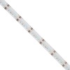 GLOBOSTAR® BEE 70354 Ταινία LED 19.2W/m 2112lm/m 120° DC 24V IP20 784 x COB Chip/m Πολύχρωμο RGB+WW Dimmable - Μ500 x Π1.2 x Υ0.2cm - Ρολό 5 Μέτρων - 5 Χρόνια Εγγύηση