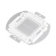 GloboStar® 73770 Υψηλής Ισχύος LED COB BRIDGELUX 30W 1500lm DC 20-24V - Μ5.5 x Π5.2 x Υ0.4cm - Πράσινο - 2 Χρόνια Εγγύηση GloboStar® 73770 Υψηλής Ισχύος LED COB BRIDGELUX 30W 1500lm DC 20-24V - Μ5.5 x Π5.2 x Υ0.4cm - Πράσινο - 2 Χρόνια Εγγύηση