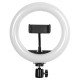 GloboStar® 75800 Professional Digital Ring Light Φ20cm LED SMD 20W 2000lm 180° DC 5V με Καλώδιο Τροφοδοσίας USB - Ενσωματωμένο Χειριστήριο Εναλλαγής Χρωμάτων & 1 Βάση Τηλεφώνου - Πολύχρωμο RGBW+WW Dimmable GloboStar® 75800 Professional Digital Ring Light Φ20cm LED SMD 20W 2000lm 180° DC 5V με Καλώδιο Τροφοδοσίας USB - Ενσωματωμένο Χειριστήριο Εναλλαγής Χρωμάτων & 1 Βάση Τηλεφώνου - Πολύχρωμο RGBW+WW Dimmable
