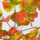 GloboStar® VIRGINIA CREEPER 78216 Τεχνητό Φυτό Παρθενόκισσος - Μπουκέτο Διακοσμητικών Φυτών - Κλαδιών με Φύλλωμα Πορτοκαλί - Κόκκινο - Πράσινο - Κίτρινο Υ35cm GloboStar® VIRGINIA CREEPER 78216 Τεχνητό Φυτό Παρθενόκισσος - Μπουκέτο Διακοσμητικών Φυτών - Κλαδιών με Φύλλωμα Πορτοκαλί - Κόκκινο - Πράσινο - Κίτρινο Υ35cm