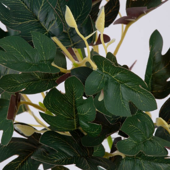 GloboStar® BELLYACHE BUSH 78219 Τεχνητό Φυτό Γιατρόφα - Μπουκέτο Διακοσμητικών Φυτών - Κλαδιών με Φύλλωμα Πράσινο - Κίτρινο - Κόκκινο Υ28cm GloboStar® BELLYACHE BUSH 78219 Τεχνητό Φυτό Γιατρόφα - Μπουκέτο Διακοσμητικών Φυτών - Κλαδιών με Φύλλωμα Πράσινο - Κίτρινο - Κόκκινο Υ28cm
