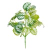 GloboStar® PEPEROMIA L.GREEN 78220 Τεχνητό Φυτό Πεπερόμια Αν.Πρ. - Μπουκέτο Διακοσμητικών Φυτών - Κλαδιών με Φύλλωμα Πράσινο - Κίτρινο - Λευκό Υ28cm
