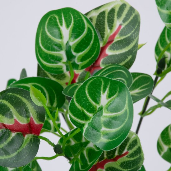 GloboStar® IRESINE PLANT 78237 Τεχνητό Φυτό Αιμόφυλλο - Μπουκέτο Διακοσμητικών Φυτών - Κλαδιών με Φύλλωμα Πράσινο - Κόκκινο Υ35cm GloboStar® IRESINE PLANT 78237 Τεχνητό Φυτό Αιμόφυλλο - Μπουκέτο Διακοσμητικών Φυτών - Κλαδιών με Φύλλωμα Πράσινο - Κόκκινο Υ35cm