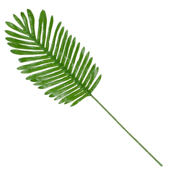 GloboStar® BIG PALM 78264 Τεχνητό Φυτό Φοίνικας Μεγάλος - Μπουκέτο Διακοσμητικών Φυτών - Κλαδιών με Φύλλωμα Πράσινο Υ74cm GloboStar® BIG PALM 78264 Τεχνητό Φυτό Φοίνικας Μεγάλος - Μπουκέτο Διακοσμητικών Φυτών - Κλαδιών με Φύλλωμα Πράσινο Υ74cm