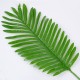 GloboStar® BIG PALM 78264 Τεχνητό Φυτό Φοίνικας Μεγάλος - Μπουκέτο Διακοσμητικών Φυτών - Κλαδιών με Φύλλωμα Πράσινο Υ74cm GloboStar® BIG PALM 78264 Τεχνητό Φυτό Φοίνικας Μεγάλος - Μπουκέτο Διακοσμητικών Φυτών - Κλαδιών με Φύλλωμα Πράσινο Υ74cm