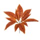 GloboStar® AGLAONEMA ORANGE 78265 Τεχνητό Φυτό Αγλαόνημα Πορτ. - Μπουκέτο Διακοσμητικών Φυτών - Κλαδιών με Φύλλωμα Πορτοκαλί Υ30cm GloboStar® AGLAONEMA ORANGE 78265 Τεχνητό Φυτό Αγλαόνημα Πορτ. - Μπουκέτο Διακοσμητικών Φυτών - Κλαδιών με Φύλλωμα Πορτοκαλί Υ30cm