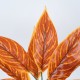 GloboStar® AGLAONEMA ORANGE 78265 Τεχνητό Φυτό Αγλαόνημα Πορτ. - Μπουκέτο Διακοσμητικών Φυτών - Κλαδιών με Φύλλωμα Πορτοκαλί Υ30cm GloboStar® AGLAONEMA ORANGE 78265 Τεχνητό Φυτό Αγλαόνημα Πορτ. - Μπουκέτο Διακοσμητικών Φυτών - Κλαδιών με Φύλλωμα Πορτοκαλί Υ30cm