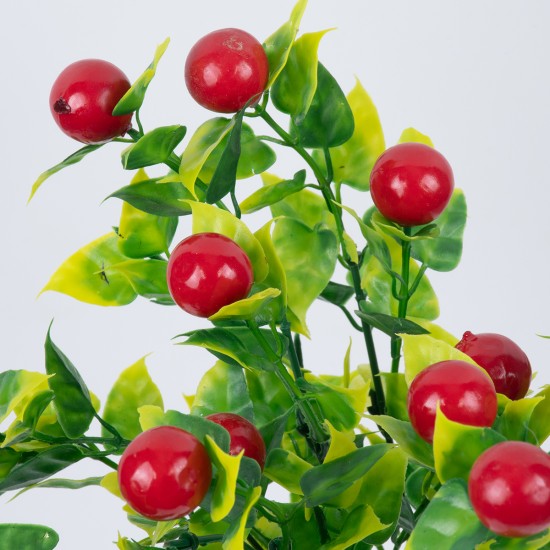 GloboStar® BUTCHERS BROOM 78268 Τεχνητό Φυτό Ρούσκος - Μπουκέτο Διακοσμητικών Φυτών - Κλαδιών με Φύλλωμα Πράσινο - Κόκκινο - Κίτρινο Υ30cm GloboStar® BUTCHERS BROOM 78268 Τεχνητό Φυτό Ρούσκος - Μπουκέτο Διακοσμητικών Φυτών - Κλαδιών με Φύλλωμα Πράσινο - Κόκκινο - Κίτρινο Υ30cm
