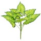 GloboStar® ELEPHANT EARS 78273 Τεχνητό Φυτό Κολοκάσια - Μπουκέτο Διακοσμητικών Φυτών - Κλαδιών με Φύλλωμα Πράσινο - Κίτρινο Υ40cm GloboStar® ELEPHANT EARS 78273 Τεχνητό Φυτό Κολοκάσια - Μπουκέτο Διακοσμητικών Φυτών - Κλαδιών με Φύλλωμα Πράσινο - Κίτρινο Υ40cm