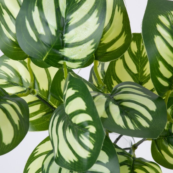 GloboStar® GREEN PEPEROMIA 78286 Τεχνητό Φυτό Πεπερόμια Πράσινη - Μπουκέτο Διακοσμητικών Φυτών - Κλαδιών με Φύλλωμα Πράσινο - Λευκό Υ33cm GloboStar® GREEN PEPEROMIA 78286 Τεχνητό Φυτό Πεπερόμια Πράσινη - Μπουκέτο Διακοσμητικών Φυτών - Κλαδιών με Φύλλωμα Πράσινο - Λευκό Υ33cm