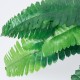 GloboStar® BOSTON FERN BIG 78292 Τεχνητό Φυτό Φτέρη Βοστώνης Μεγάλη - Μπουκέτο Διακοσμητικών Φυτών - Κλαδιών με Φύλλωμα Πράσινο Υ52cm GloboStar® BOSTON FERN BIG 78292 Τεχνητό Φυτό Φτέρη Βοστώνης Μεγάλη - Μπουκέτο Διακοσμητικών Φυτών - Κλαδιών με Φύλλωμα Πράσινο Υ52cm