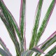 GloboStar® DRACAENA PURPLE 78294 Τεχνητό Φυτό Δράκαινα Μωβ - Μπουκέτο Διακοσμητικών Φυτών - Κλαδιών με Φύλλωμα Πράσινο - Μωβ Υ45cm GloboStar® DRACAENA PURPLE 78294 Τεχνητό Φυτό Δράκαινα Μωβ - Μπουκέτο Διακοσμητικών Φυτών - Κλαδιών με Φύλλωμα Πράσινο - Μωβ Υ45cm