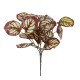 GloboStar® RED PEPEROMIA 78297 Τεχνητό Φυτό Πεπερόμια Κοκκ. - Μπουκέτο Διακοσμητικών Φυτών - Κλαδιών με Φύλλωμα Κόκκινο - Λευκό Υ30cm GloboStar® RED PEPEROMIA 78297 Τεχνητό Φυτό Πεπερόμια Κοκκ. - Μπουκέτο Διακοσμητικών Φυτών - Κλαδιών με Φύλλωμα Κόκκινο - Λευκό Υ30cm