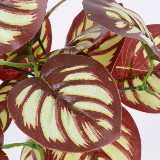 GloboStar® RED PEPEROMIA 78297 Τεχνητό Φυτό Πεπερόμια Κοκκ. - Μπουκέτο Διακοσμητικών Φυτών - Κλαδιών με Φύλλωμα Κόκκινο - Λευκό Υ30cm GloboStar® RED PEPEROMIA 78297 Τεχνητό Φυτό Πεπερόμια Κοκκ. - Μπουκέτο Διακοσμητικών Φυτών - Κλαδιών με Φύλλωμα Κόκκινο - Λευκό Υ30cm