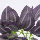 GloboStar® PURPLE JOY 78298 Τεχνητό Φυτό Ζεμπρίνα - Μπουκέτο Διακοσμητικών Φυτών - Κλαδιών με Φύλλωμα Μωβ Υ28cm GloboStar® PURPLE JOY 78298 Τεχνητό Φυτό Ζεμπρίνα - Μπουκέτο Διακοσμητικών Φυτών - Κλαδιών με Φύλλωμα Μωβ Υ28cm