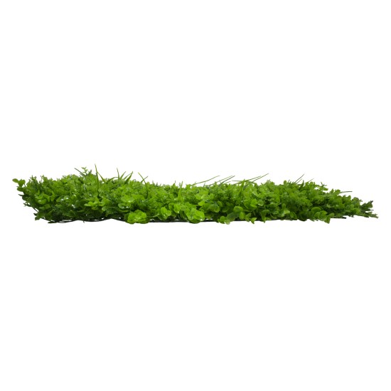 GloboStar® 78420 Artificial - Συνθετικό Τεχνητό Διακοσμητικό Πάνελ Φυλλωσιάς - Κάθετος Κήπος Καυκάσιο Πυξάρι - Λέιλαντ - Γρασίδι Πράσινο Μ60 x Υ40 x Π10cm GloboStar® 78420 Artificial - Συνθετικό Τεχνητό Διακοσμητικό Πάνελ Φυλλωσιάς - Κάθετος Κήπος Καυκάσιο Πυξάρι - Λέιλαντ - Γρασίδι Πράσινο Μ60 x Υ40 x Π10cm