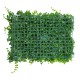 GLOBOSTAR® PEPPEROMIA 78434 Τεχνητό Πάνελ Φυλλωσιάς / Κάθετος Κήπος Πεπερόμια & Ζεβρίνα - Πράσινο - Μ60 x Π9 x Υ40cm GLOBOSTAR® PEPPEROMIA 78434 Τεχνητό Πάνελ Φυλλωσιάς / Κάθετος Κήπος Πεπερόμια & Ζεβρίνα - Πράσινο - Μ60 x Π9 x Υ40cm