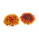 GloboStar® 78514 Artificial - Συνθετικό Τεχνητό Διακοσμητικό Φυτό Θάμνος Πυξάρι Πορτοκαλί - Κίτρινο Φ31cm GloboStar® 78514 Artificial - Συνθετικό Τεχνητό Διακοσμητικό Φυτό Θάμνος Πυξάρι Πορτοκαλί - Κίτρινο Φ31cm